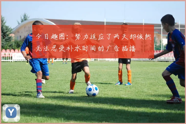 今日趣图：努力适应了两天却依然无法忍受补水时间的广告插播