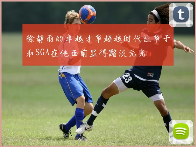 徐静雨的卓越才华超越时代让华子和SGA在他面前显得黯淡无光